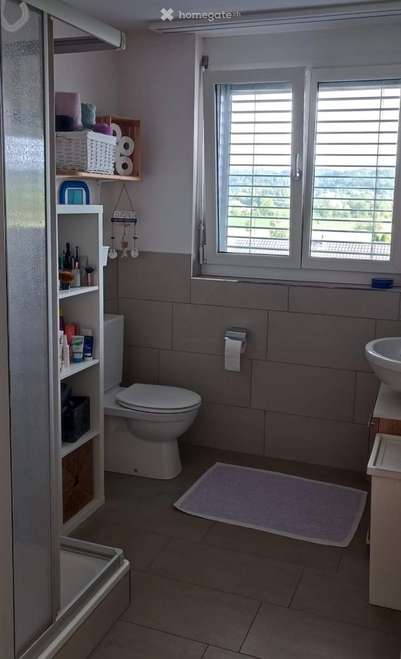 1.5 Zimmer Wohnung (4)