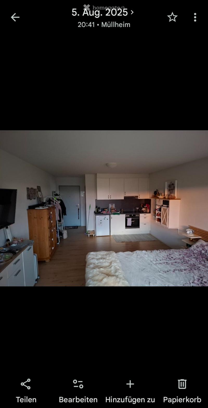 1.5 Zimmer Wohnung (3)