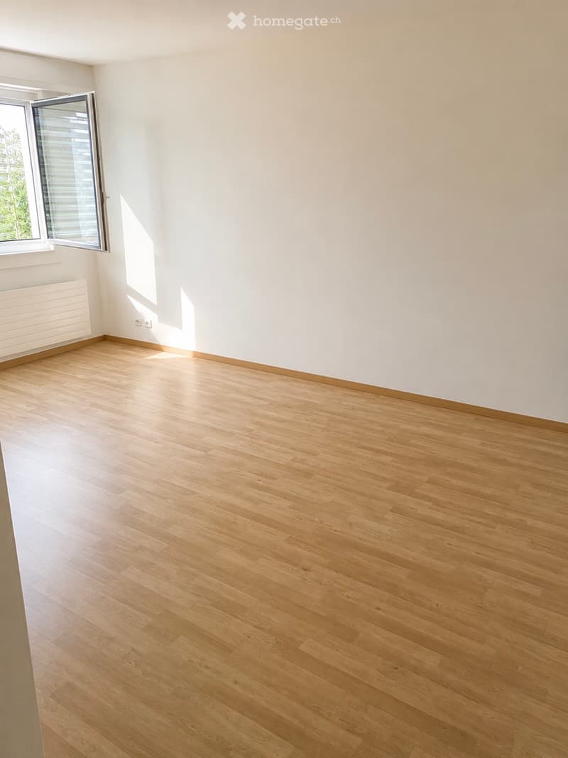 Charmant studio au 7ème étage avec vue panoramique à Aigle (3)