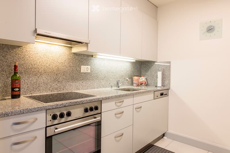 Helle ruhige 2.5 Zimmer Wohnung (3)