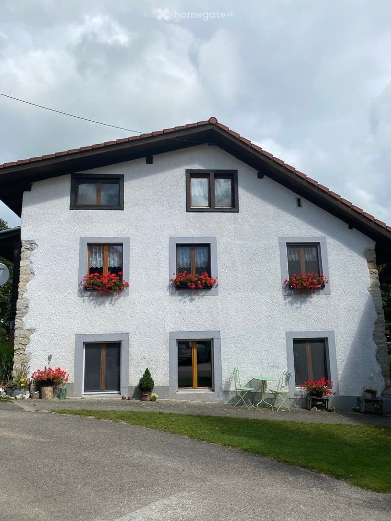 5 Zimmer Wohnung (1)