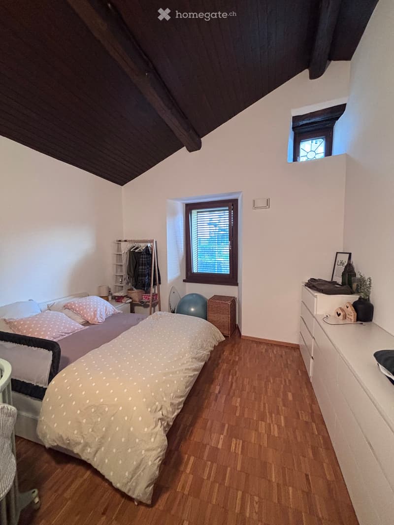 Subentrante 4,5 locali a Bellinzona (Daro) (5)