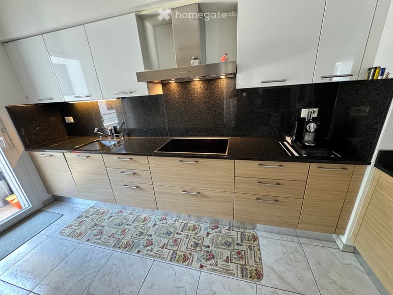 vendo appartamento 4 1/2 a bellinzona (5)