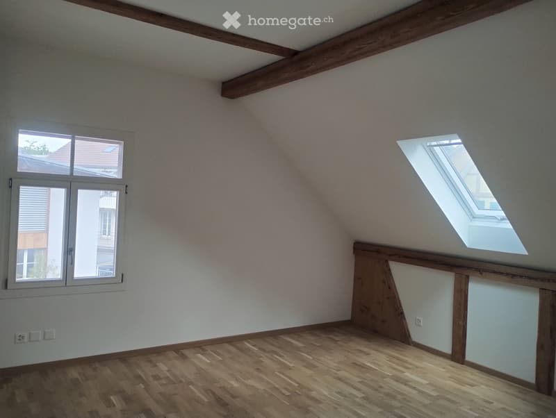 4 ½ Zimmer-Dachwohnung (4)