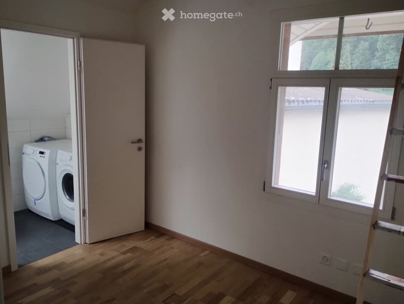 4 ½ Zimmer-Dachwohnung (5)