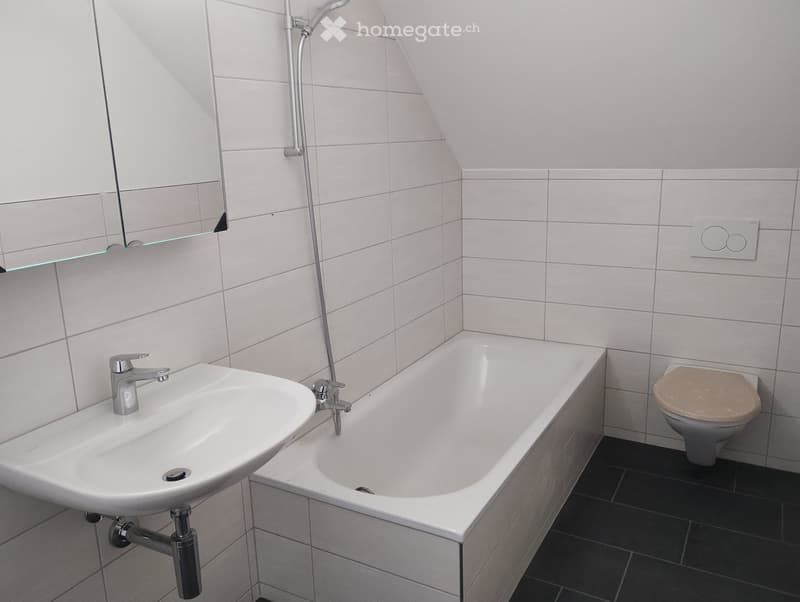 4 ½ Zimmer-Dachwohnung (3)