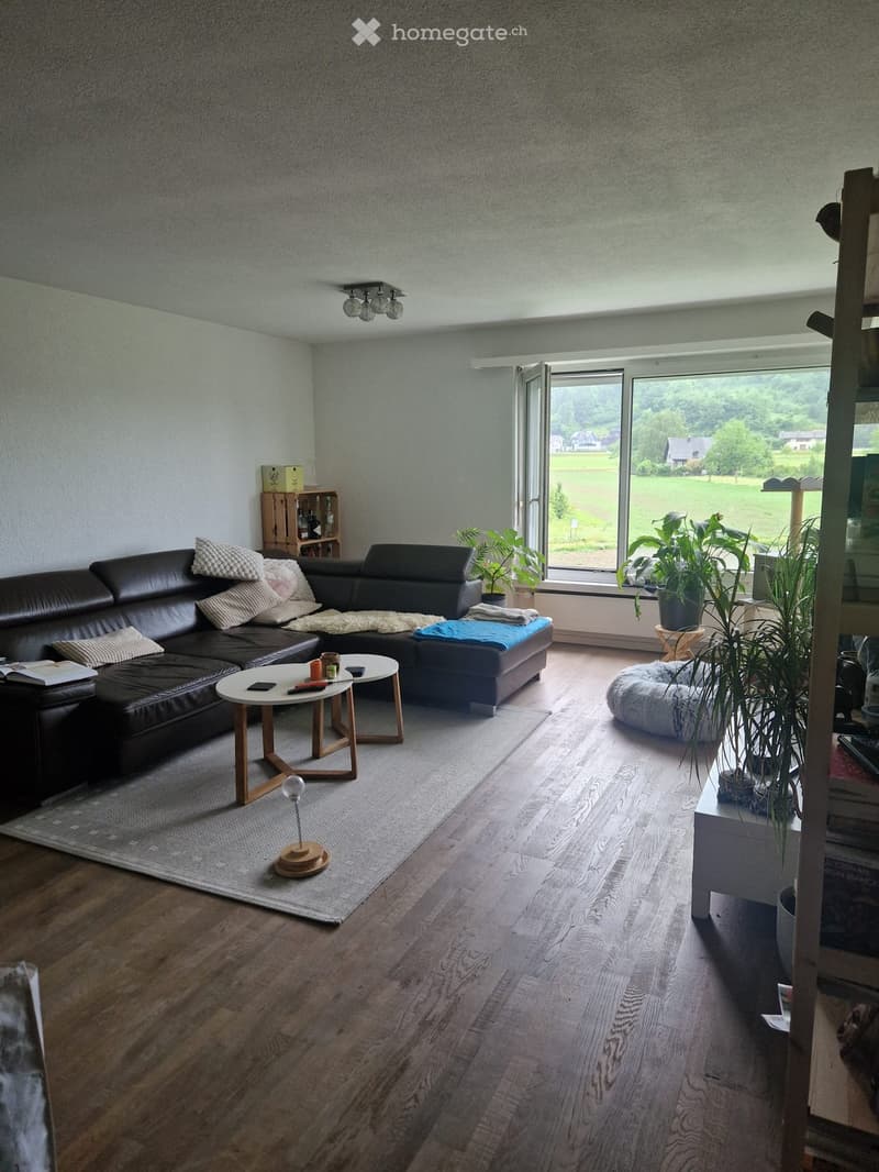 Nachmieter/in gesucht per sofort oder nach Absprache (3)