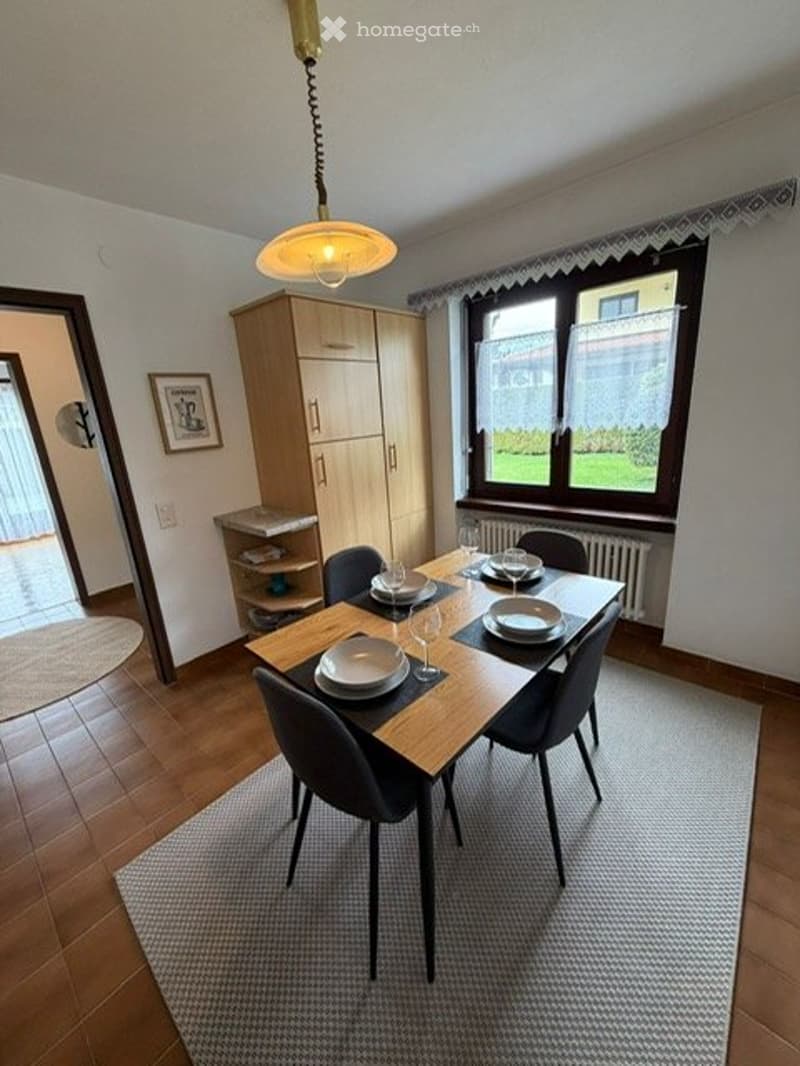 Appartamento 3 locali ammobiliato con giardinoDino (Lugano) (5)