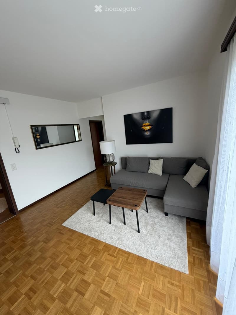 Appartamento 3 locali ammobiliato con giardinoDino (Lugano) (1)