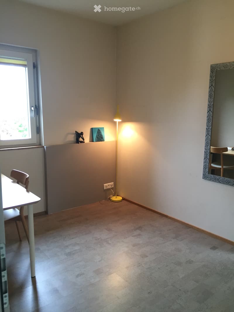 1.5 Zi Studio/Büro (5)