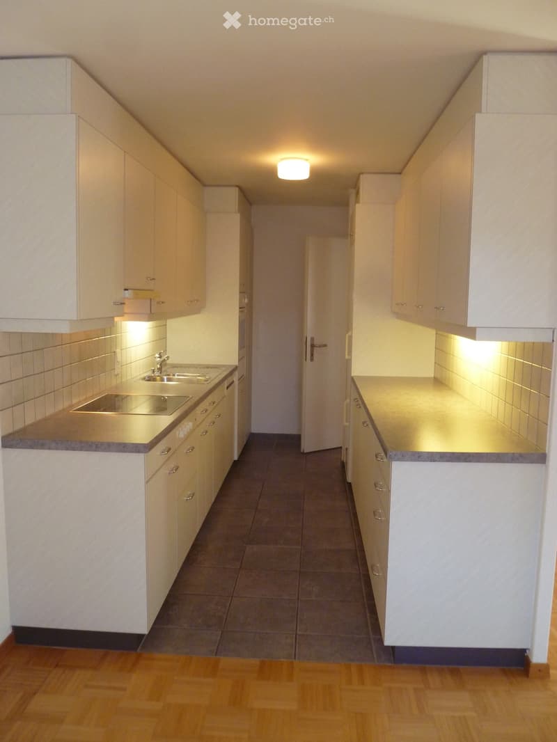 Helle, gemütliche 3 1/2-Zi-Wohnung mit Balkon zu vermieten (1)