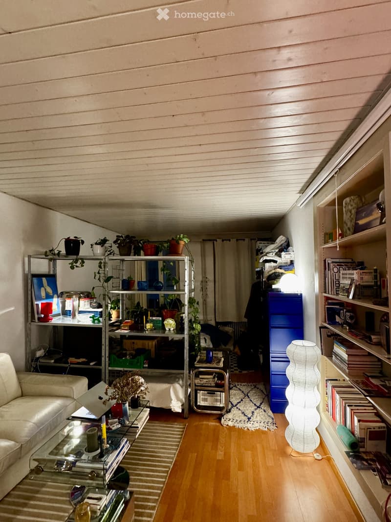 Charmante Studio Wohnung zur Miete in bester Lage in Biel (1)