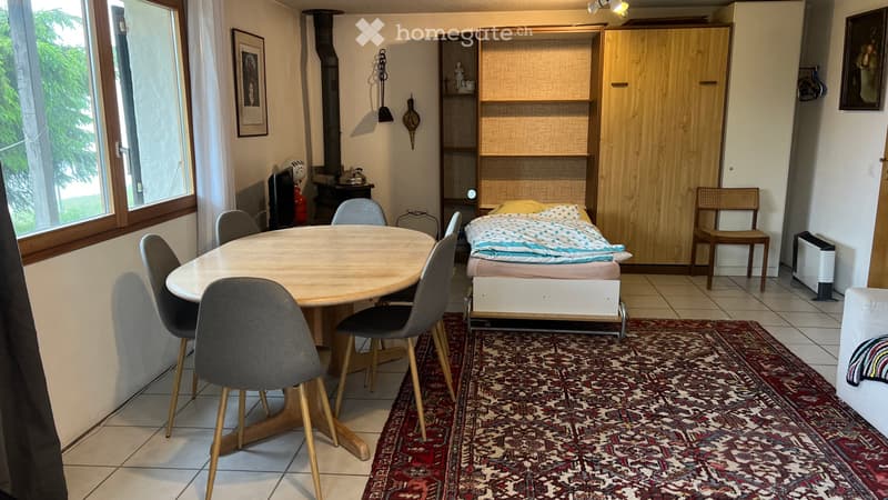 1.5 Ferienwohnung direkt an der Skipiste (3)