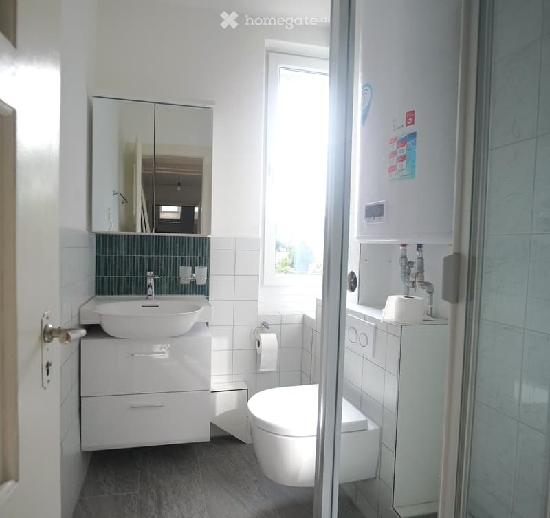 Renovierte 3-Zi-Wohnung, neue Küche, Bad & Fussbodenheizung (3)