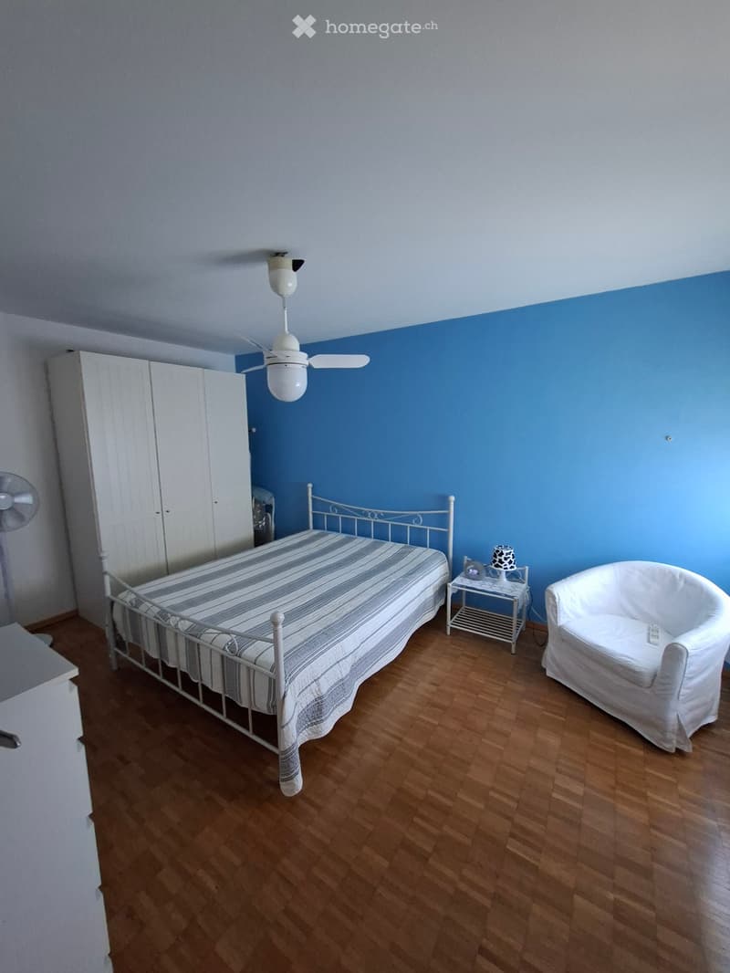 Subentrante luminoso appartamento 2.5 loc. libero da subito (2)
