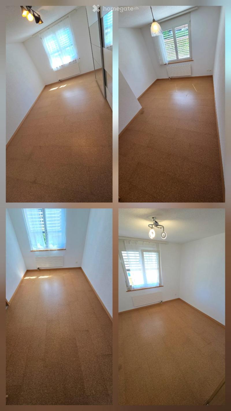 5.5 Zi Terrassen Wohnung zentrale Lage u Seesicht (3)