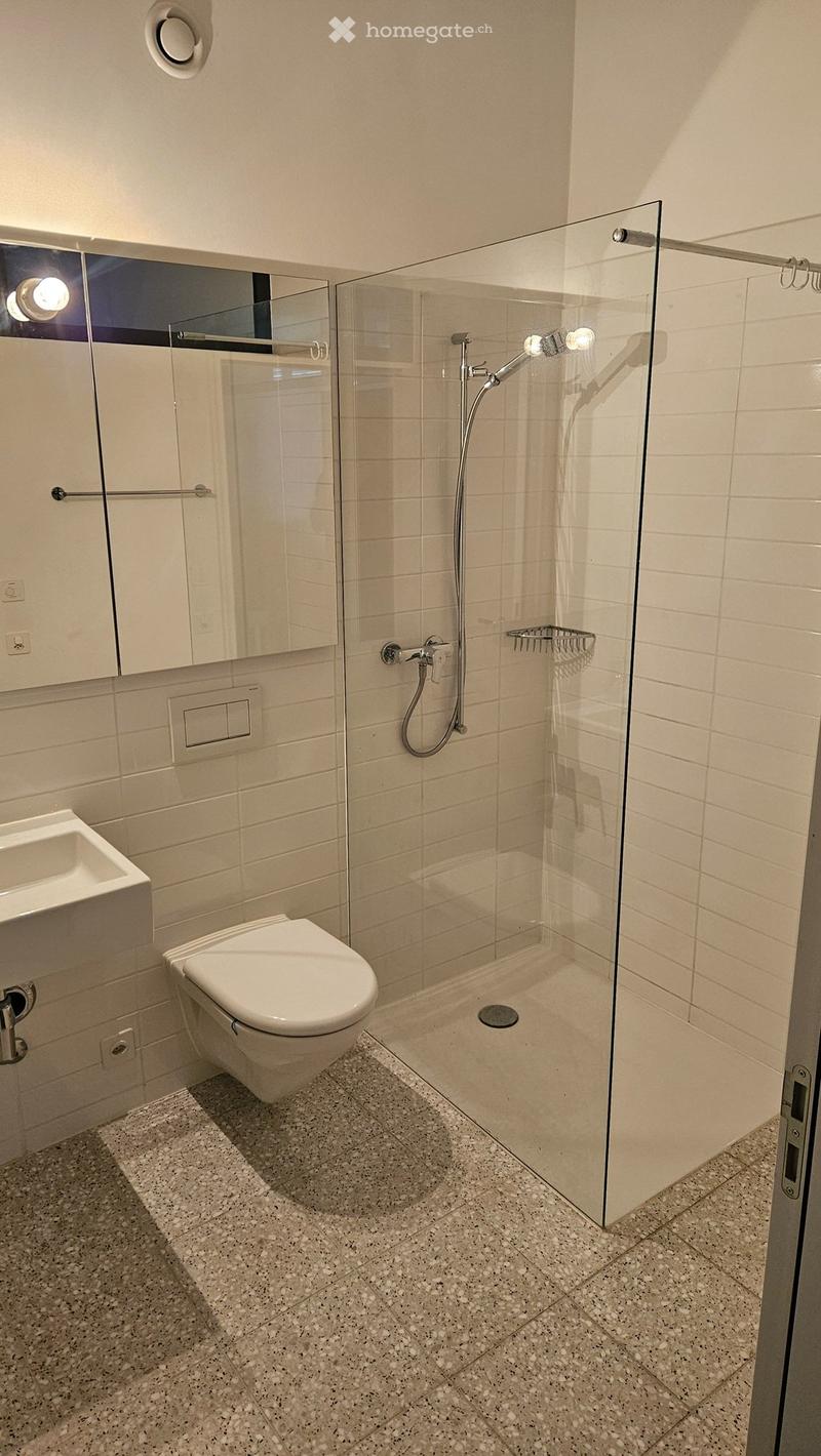 1.5 Zimmer Single Wohnung befristet (5)