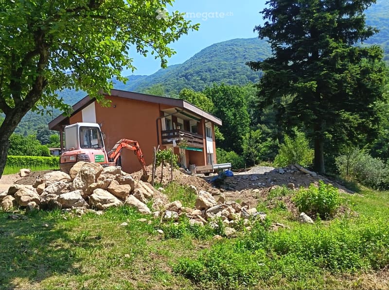 Appartamento 2,5 prima locazione (1)