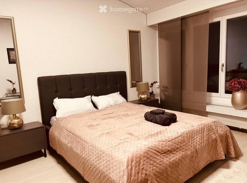 Moderne Studio-Wohnung in Schönengrund (3)
