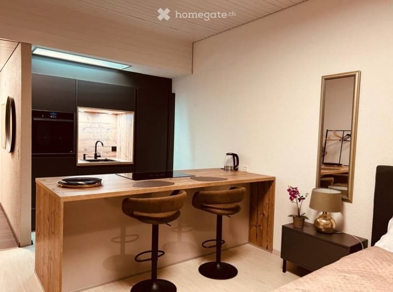 Moderne Studio-Wohnung in Schönengrund (1)