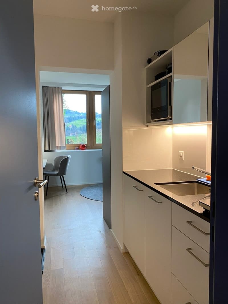 Studio mit Küchenzeile in Wienacht (1)