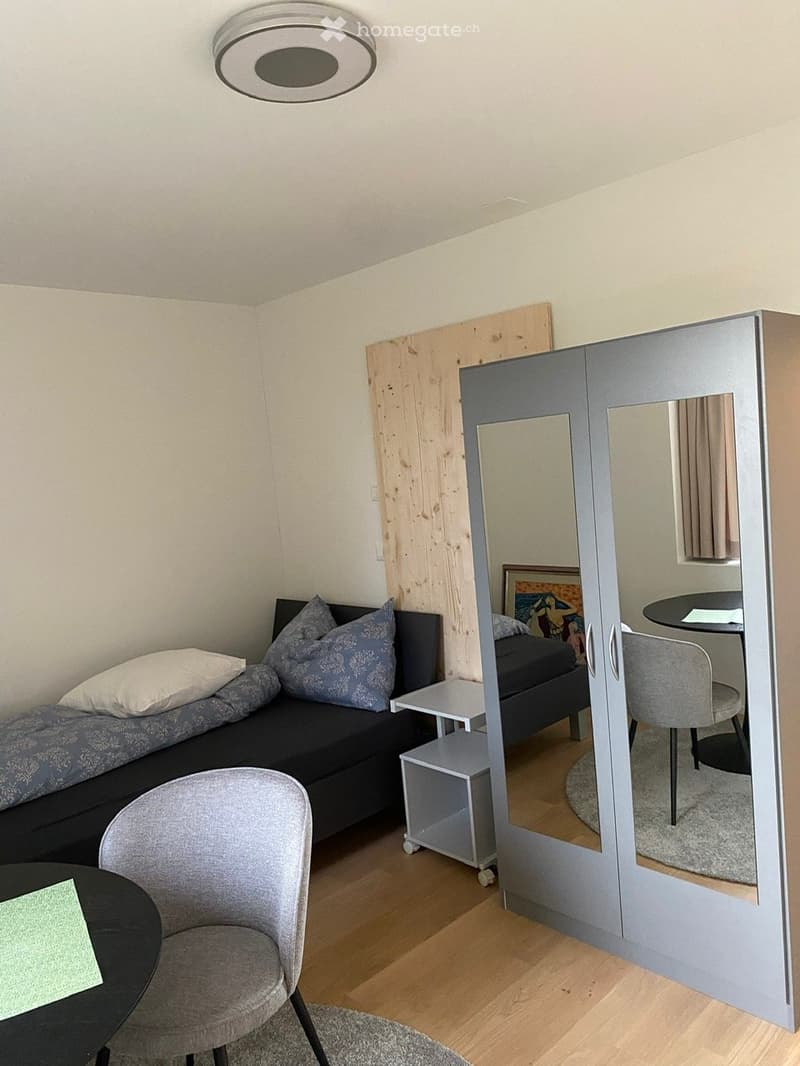 Studio mit Küchenzeile in Wienacht (2)