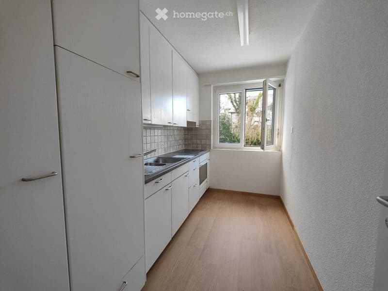 Charmante 3-Zimmer-Wohnung in Dietikon  ab sofort verfügbar (3)