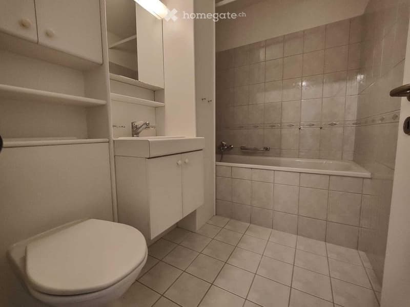 Charmante 3-Zimmer-Wohnung in Dietikon  ab sofort verfügbar (2)
