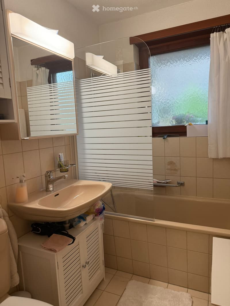 Ruhige 2.5-Zimmer-Wohnung mit Terrasse in Theilingen (2)