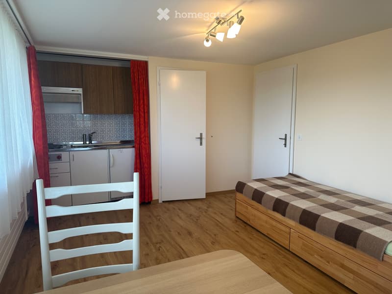 Einliegerwohnung in Seuzach (5)