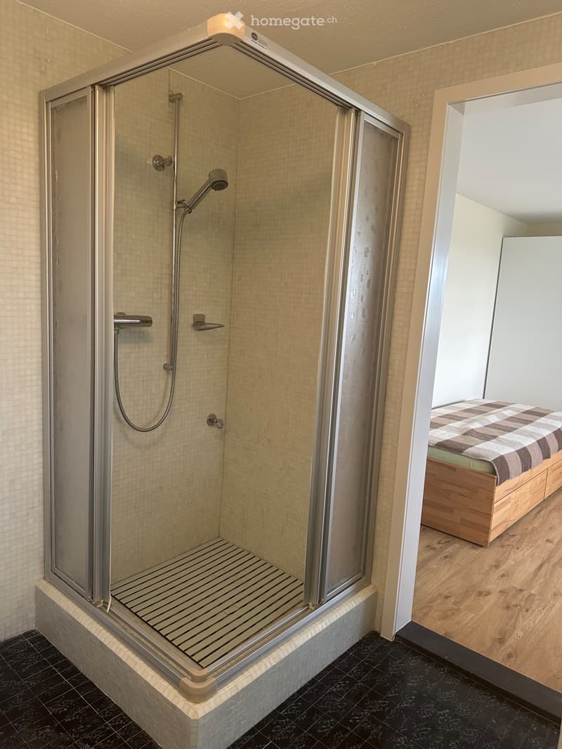 Einliegerwohnung in Seuzach (2)