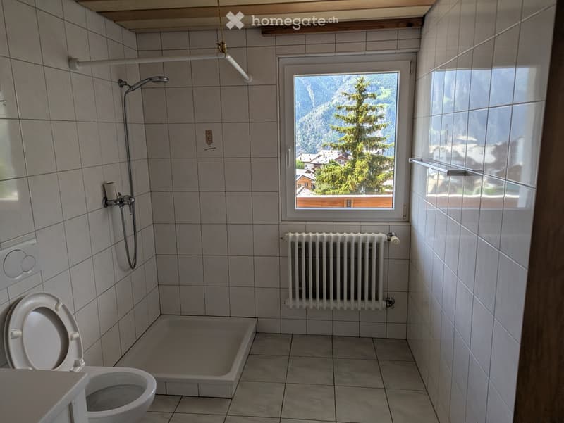 Einliegerwohnung (3)