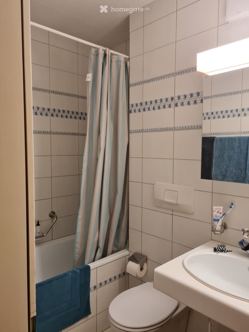 3.5-Zimmer Wohnung (4)