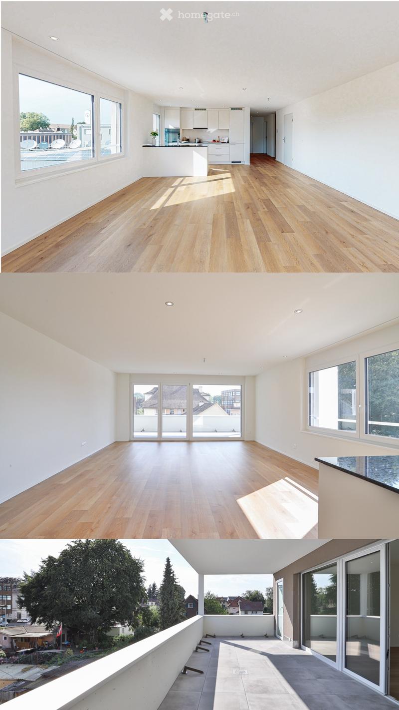 Grosse Neubau Wohnung (1)