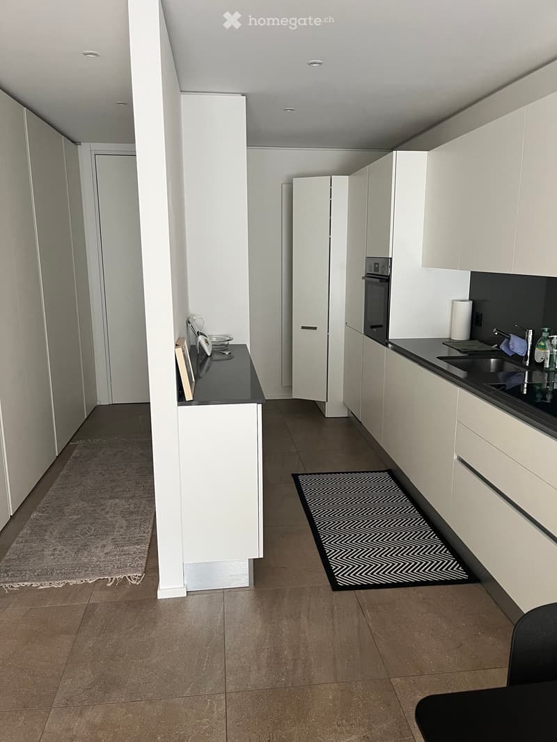 Cercasi subentrante 2.5 locali a Sorengo (3)