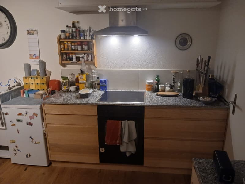 schöne Wohnung im Grünen (3)