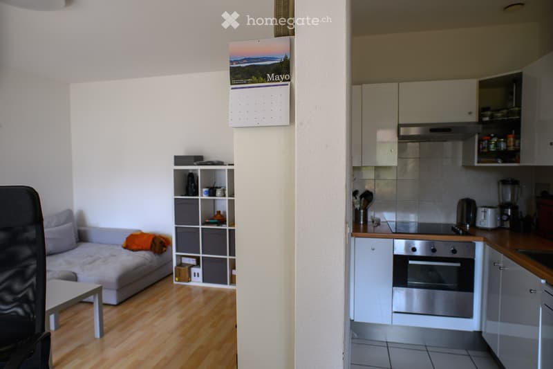 Bright 2.5 Apartment in the Center of Lugano [Temporary] (3)