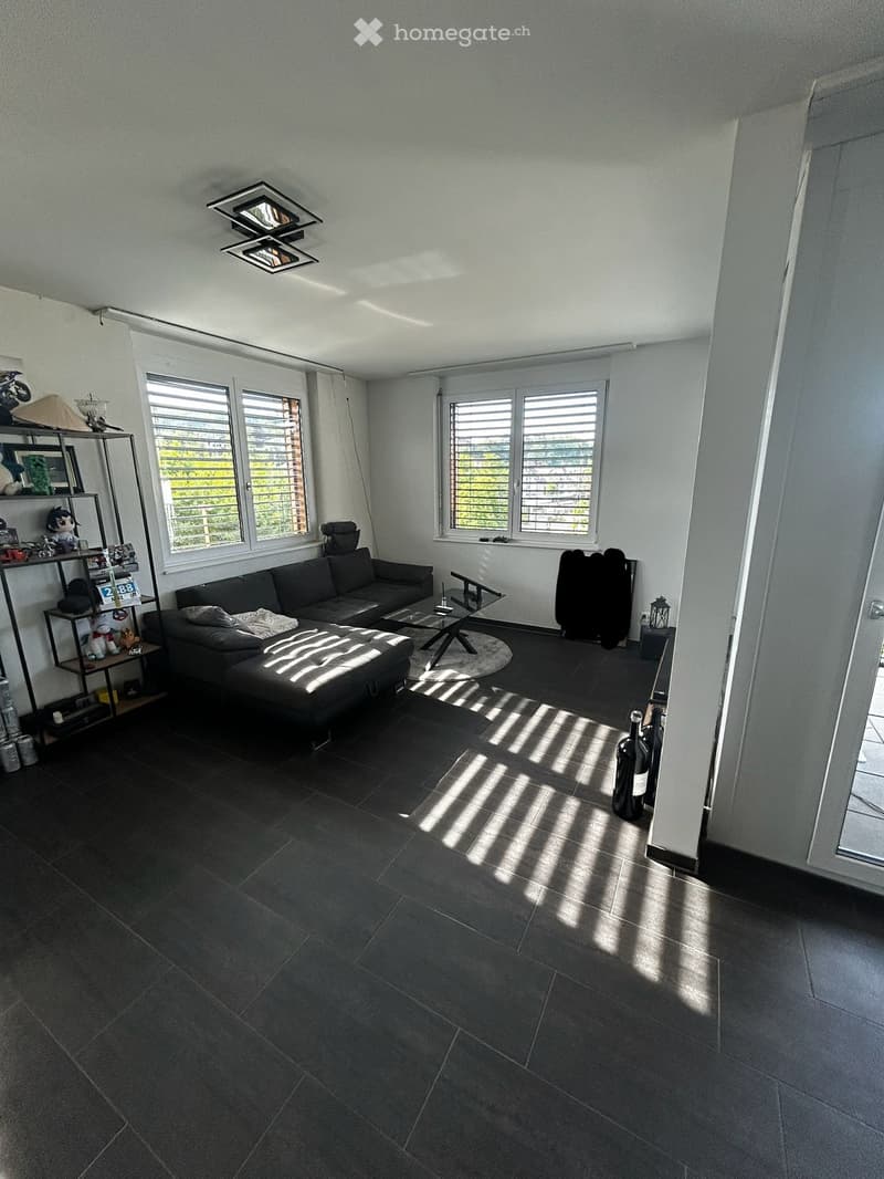 Helle 2.5 Zimmer Wohnung in Frenkendorf (2)