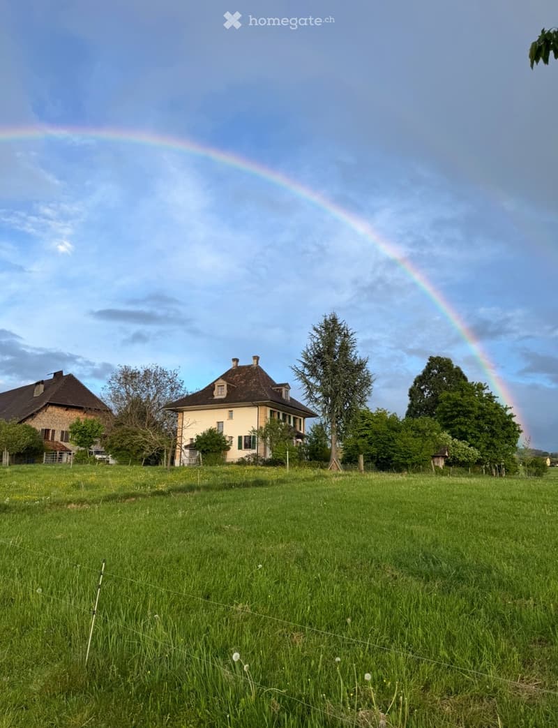 WG Zimmer in 3er WG ab sofort oder nach Vereinbarung (3)