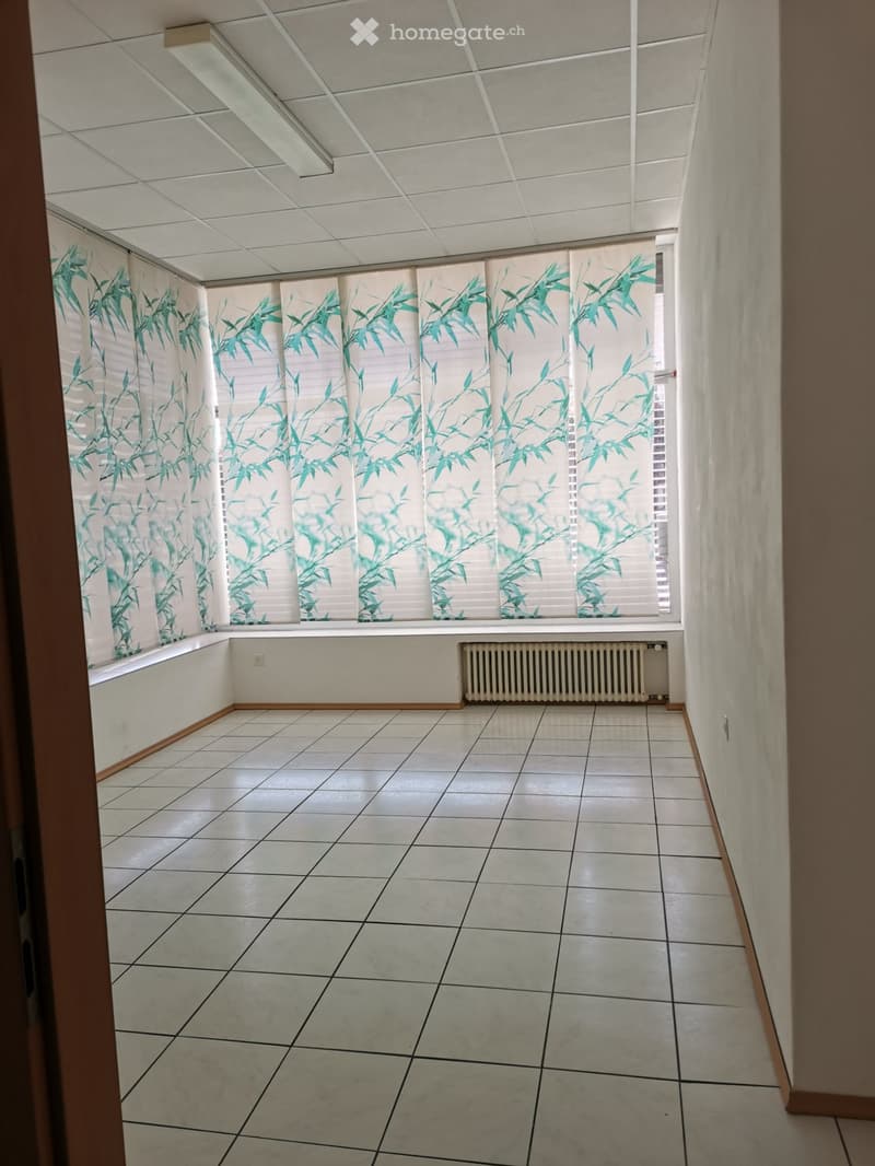 Appartamento 3.5 Biasca (5)