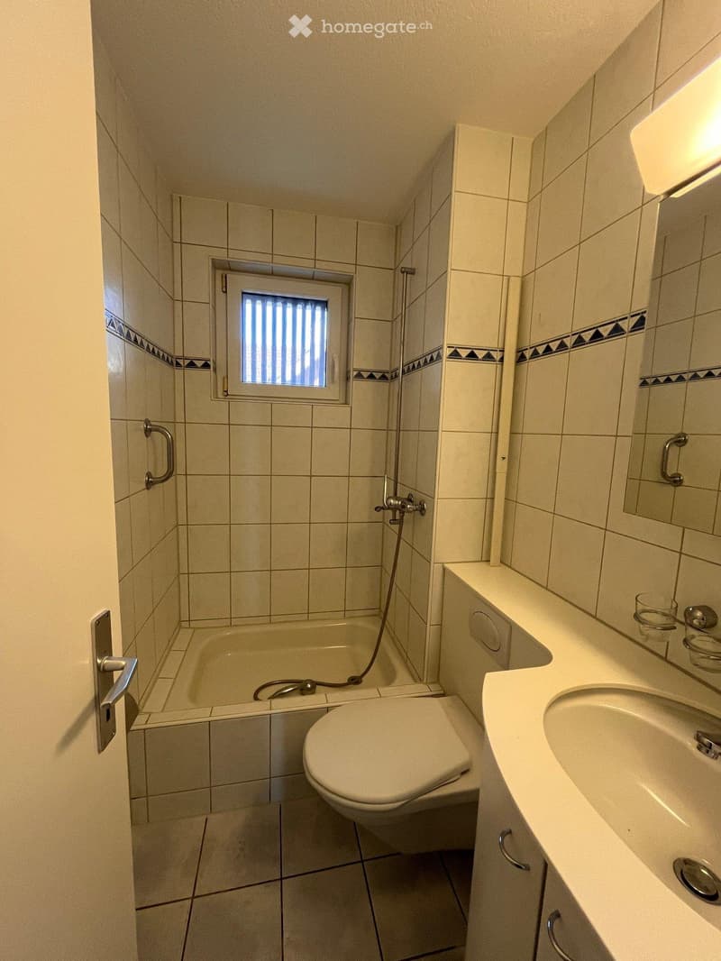 Charmante 3,5-Zimmer-Wohnung in Wädenswil (2)