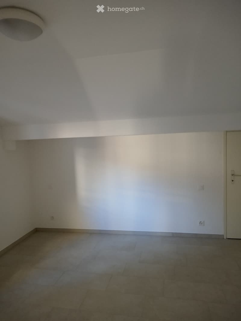 Affittasi Lugano Cassarate appartamento 2.5 locali (5)