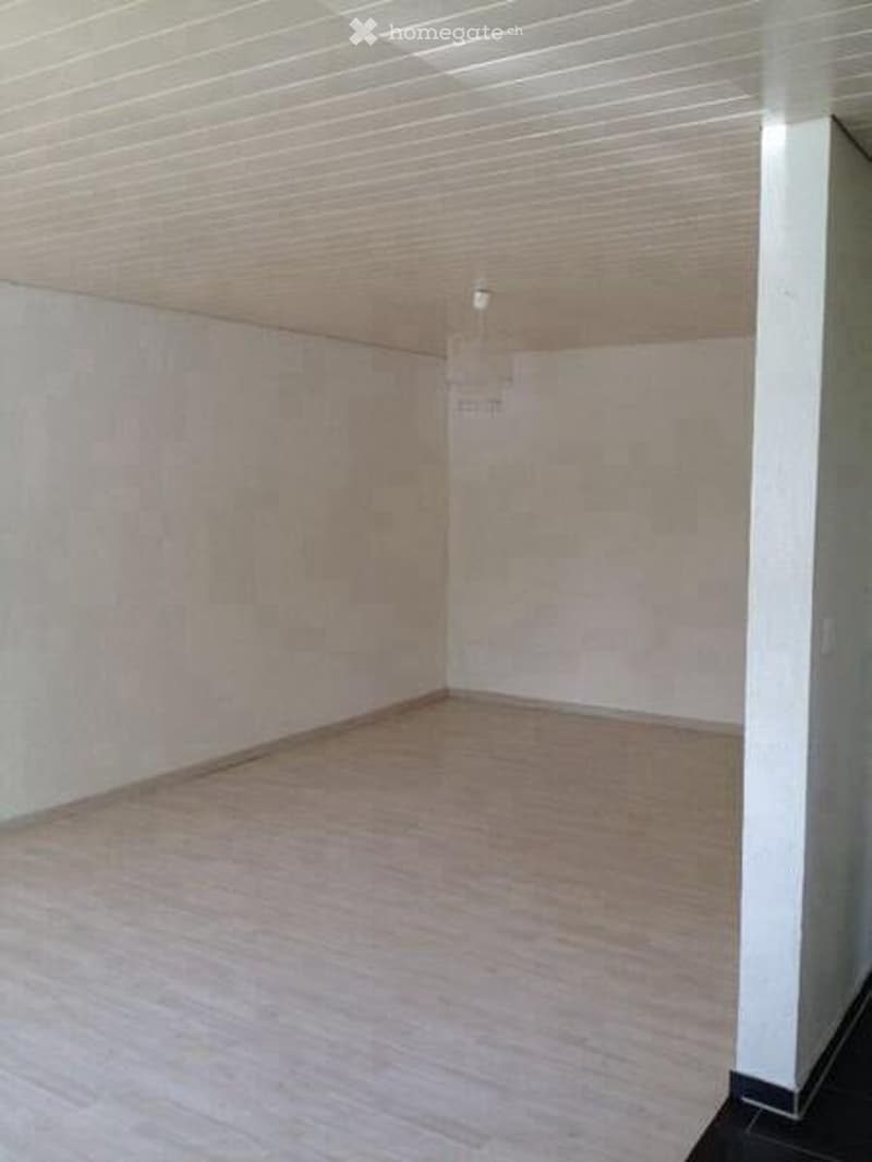 Studio an ruhiger Lage ab 01.09.2026 zu vermieten (3)