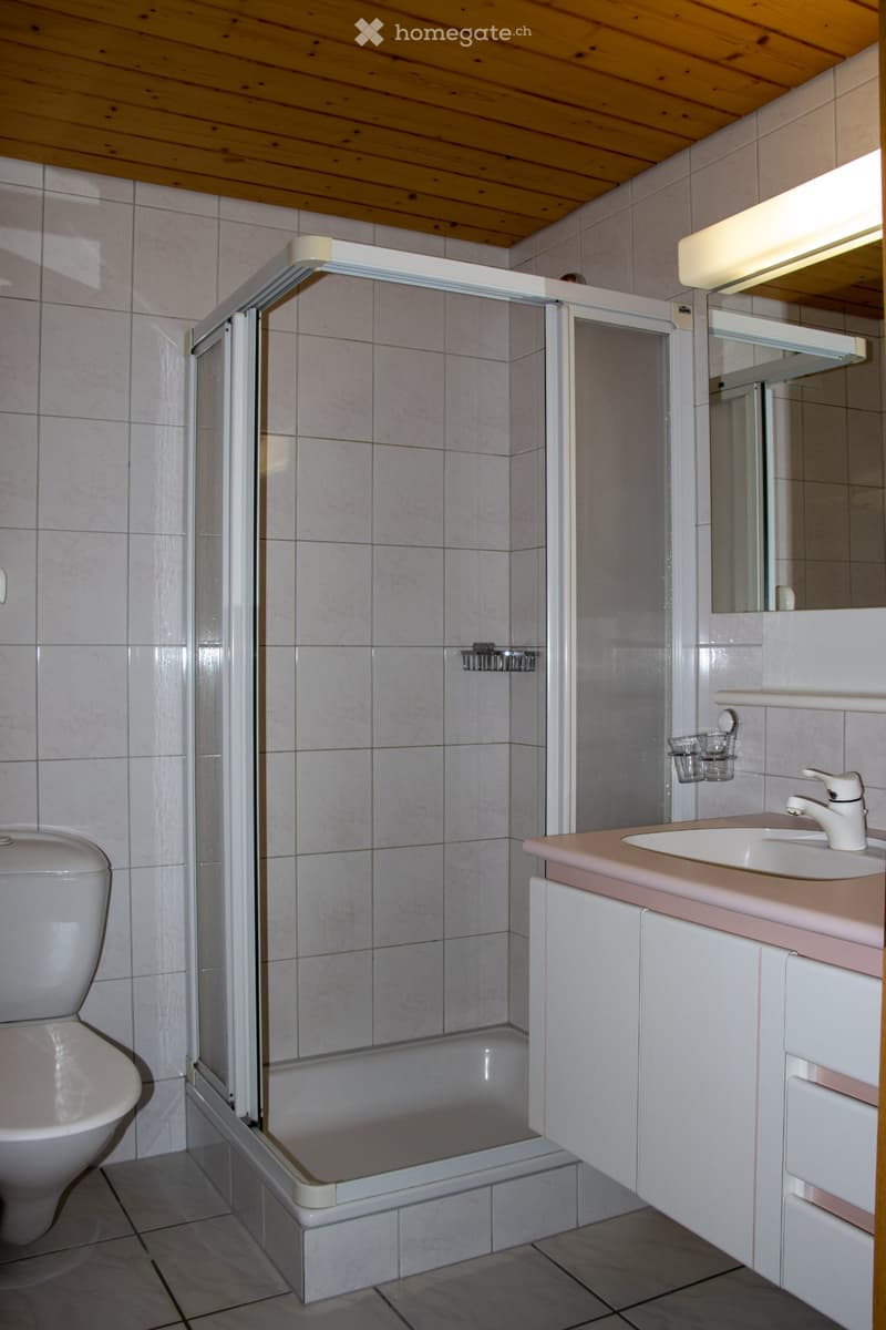 Schöne Wohnung mit Blick ins Diemtigtal (4)