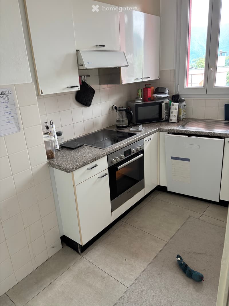 Appartamento in affitto 3.5 locali a massagno (2)