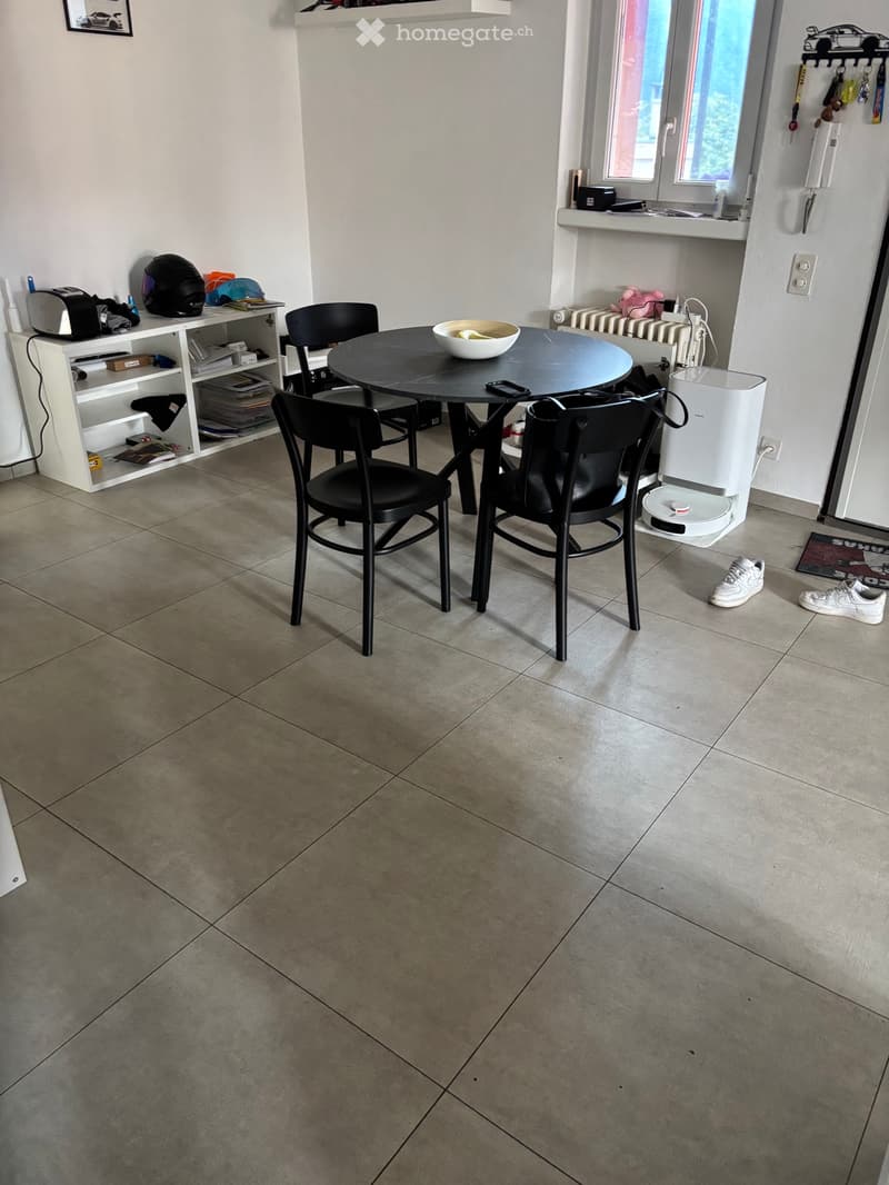 Appartamento in affitto 3.5 locali a massagno (3)