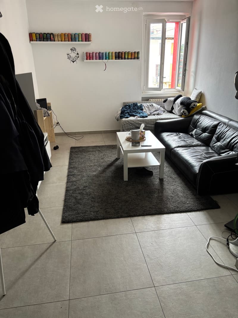 Appartamento in affitto 3.5 locali a massagno (4)