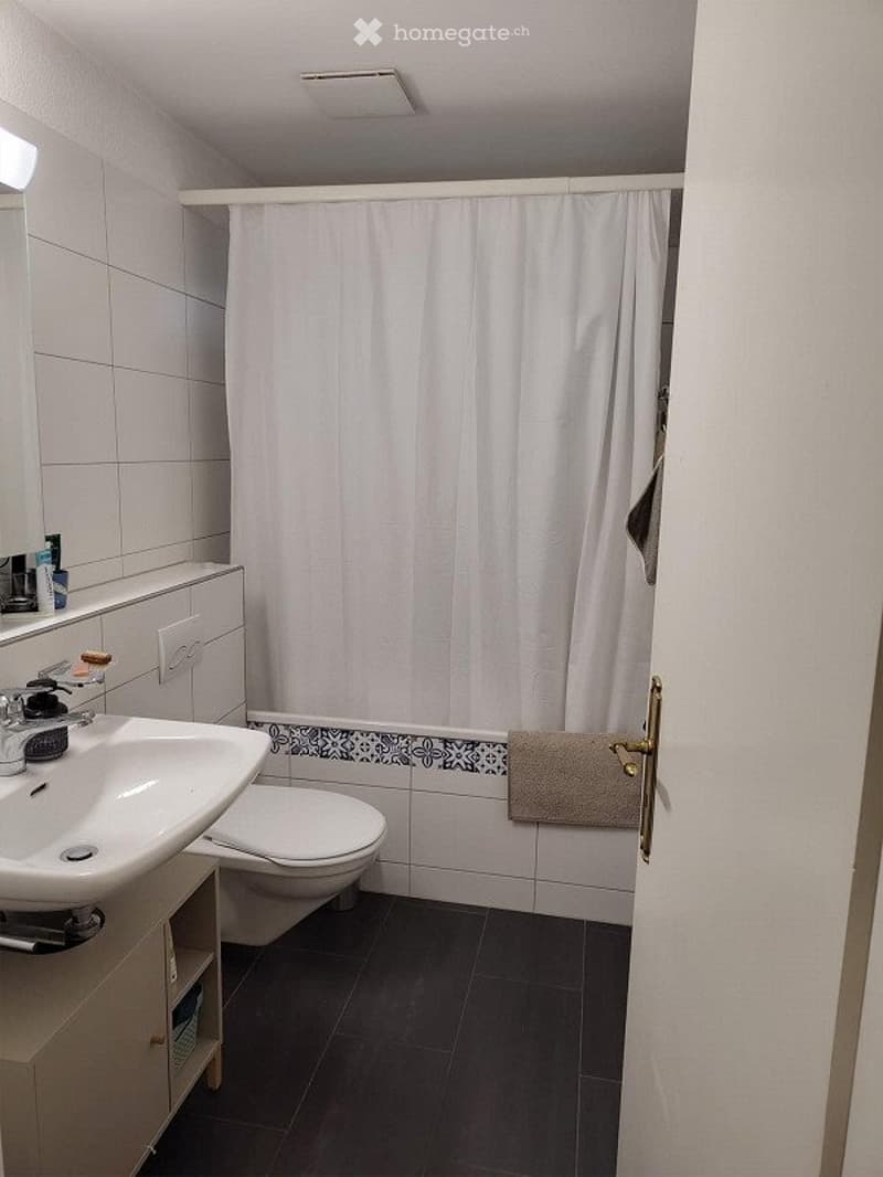 2- Zimmer Wohnung zur Untermiete im Juli (5)