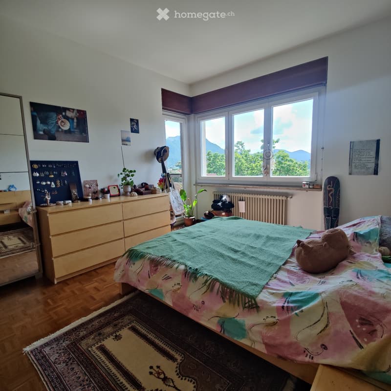 Cerco subentrante - appartamento 2.5 (1)