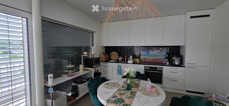 3.5 Zimmer Attikawohnung (4)